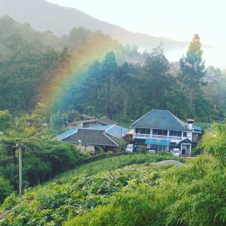 Azalea Muslim Homestay Cameron Highlands © Letsgoholidaymy