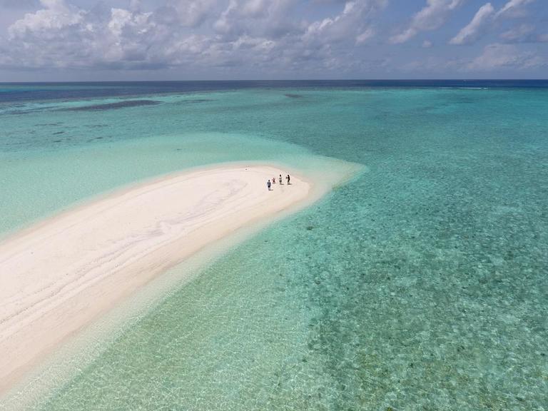 Plumeria maldives как добраться