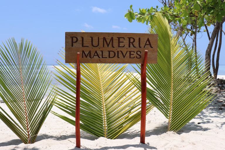 Plumeria maldives как добраться