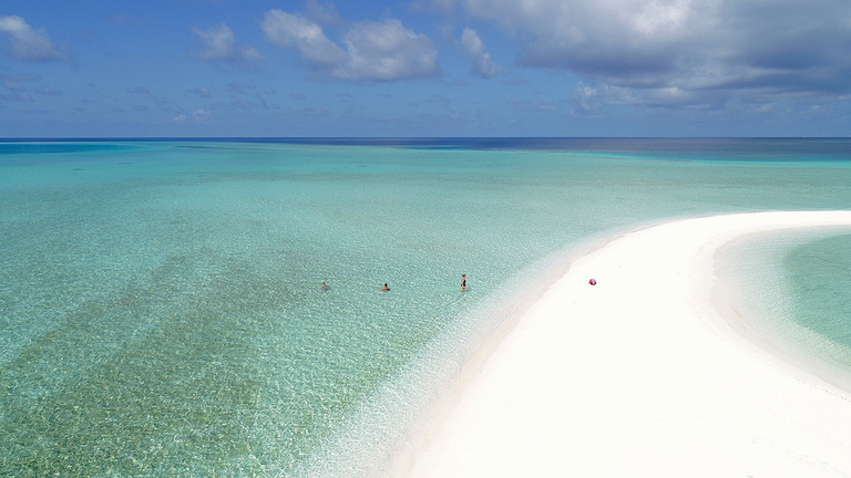 Plumeria maldives как добраться