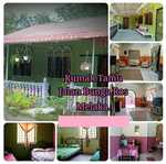 Jln Bunga Ros Guesthouse Gallery Thumbnail Photos