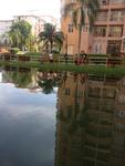 Homestay Mantin Selesa Dengan Swimming Pool Gallery Thumbnail Photos