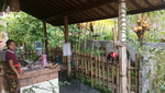 Khrisna Homestay and Cottages Gallery Thumbnail Photos