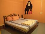 Bonobo Bed & Breakfast House Gallery Thumbnail Photos