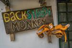 Backstreet Monkey Backpacker Hostel Gallery Thumbnail Photos