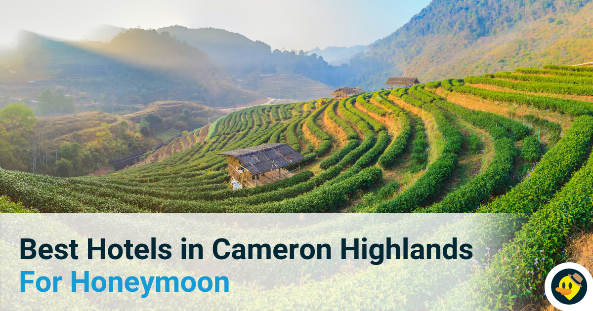 Best Hotels in Cameron Highlands For Honeymoon Featured Image