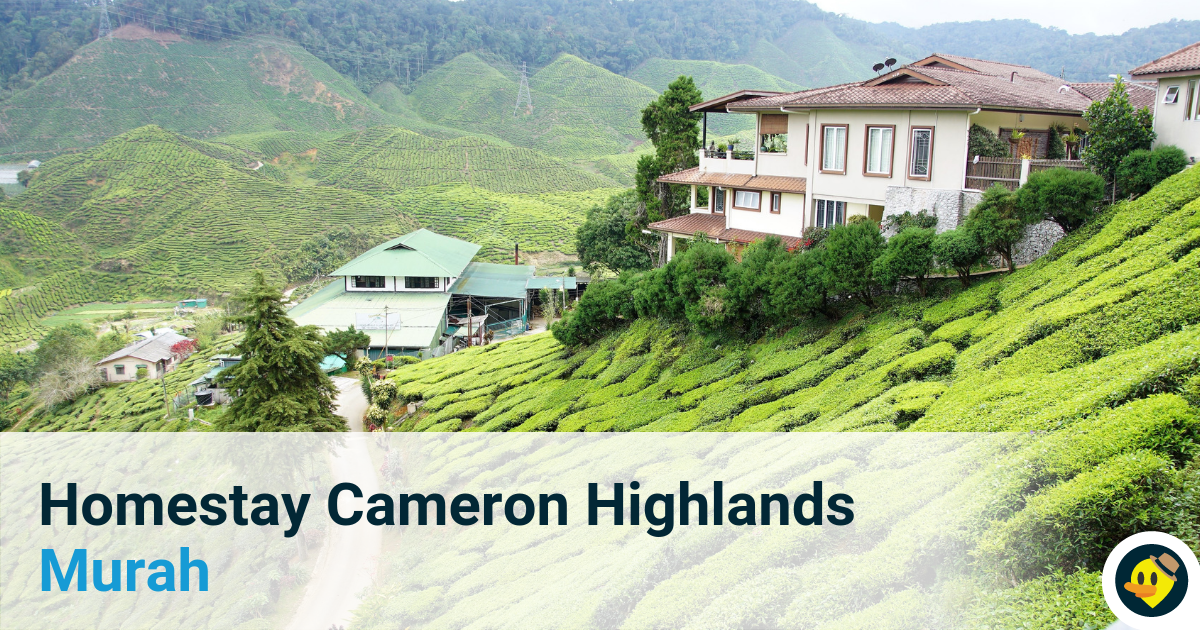 60 Homestay Termurah di Cameron Highlands Featured Image