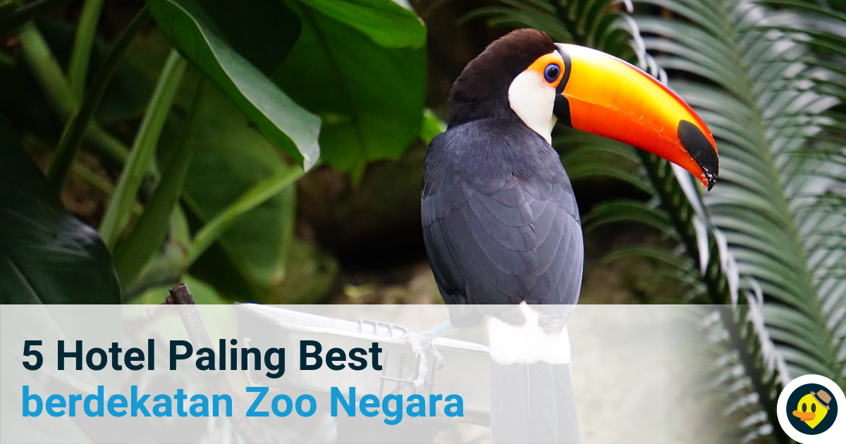 5 Hotel Paling Best Berdekatan Zoo Negara Featured Image