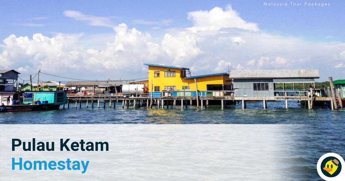 Top 10 Best Pulau Ketam Homestay Featured Image