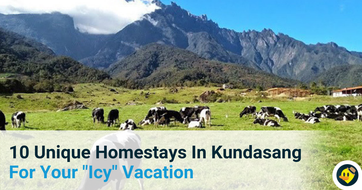 10 Unique Homestays In Kundasang For Your "Icy" Vacation Featured Image