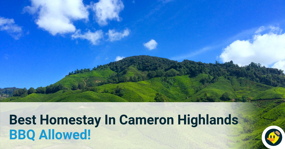 Best Homestay In Cameron Highlands BBQ Allowed! Featured Image