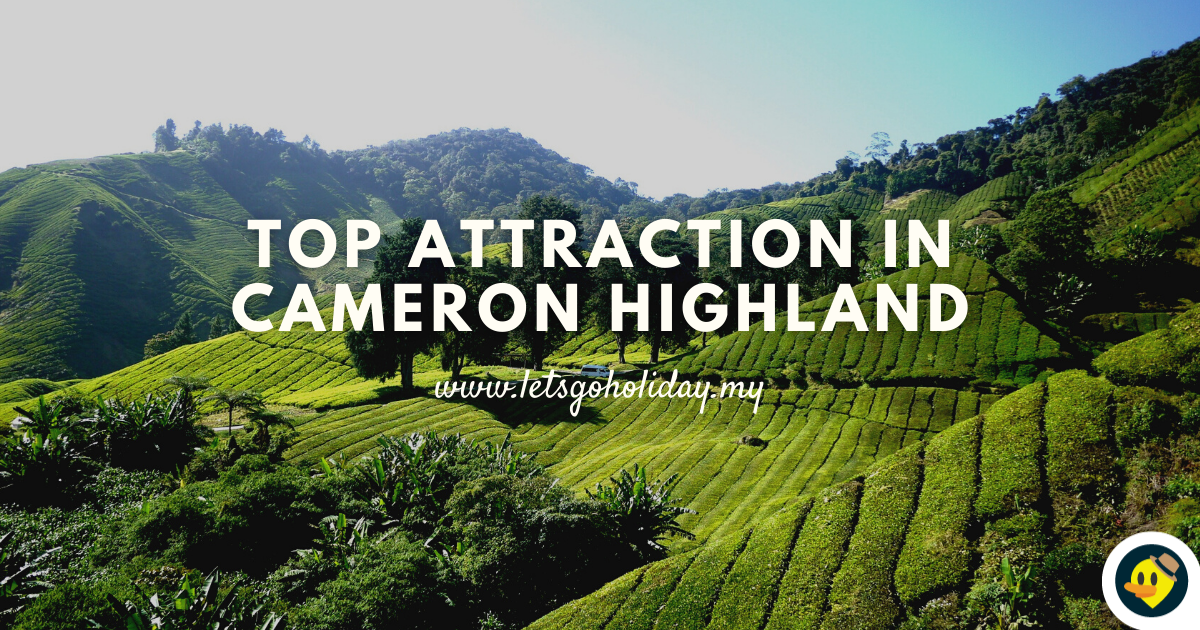 Popular Attraction in Cameron Highland Featured Image