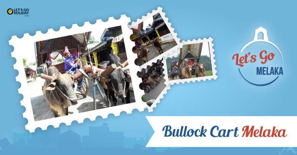 Riding The Bullock Cart In Melaka Featured Image