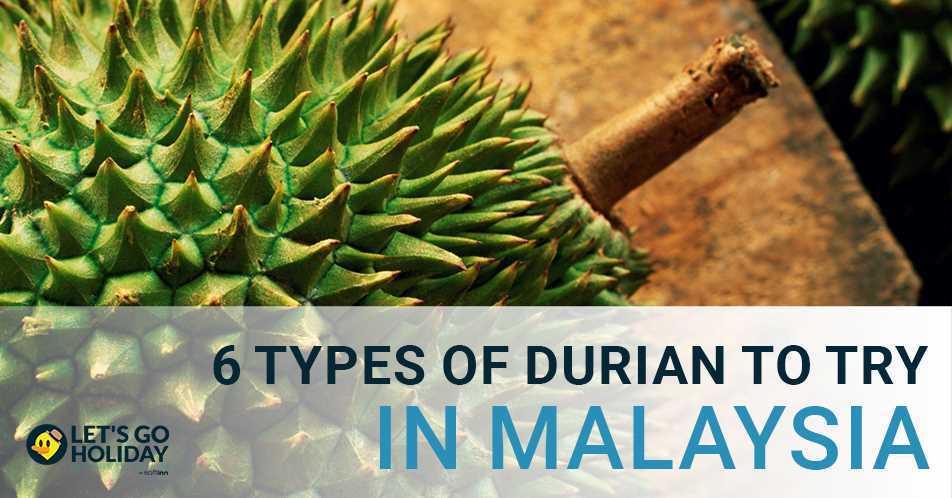 6 Types of Durian You Must Try When Visiting Malaysia and the Durian Season Explained Featured Image